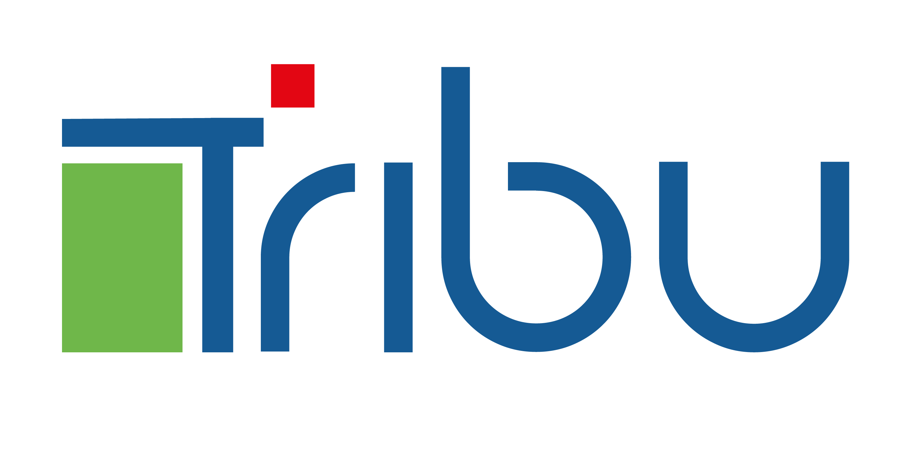 Tribu People